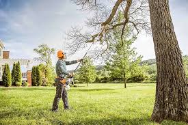 Best Emergency Tree Removal  in Marion, VA